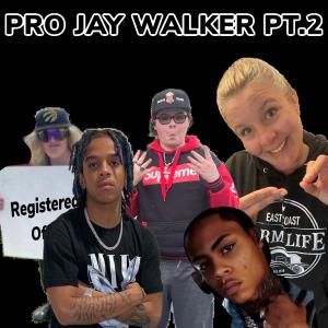 Pro Jay Walker, Pt. 2 (feat. J Fllock & C Blu) dari Goosey Floods ZFFZ