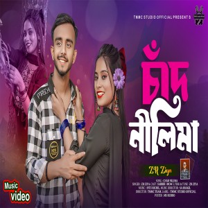 Listen to Chad Nilima song with lyrics from Ziya