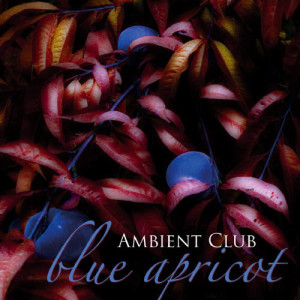 收聽Ambient Club的Because Of歌詞歌曲