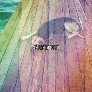 Baby Nap Time的專輯45 Dream Lucid