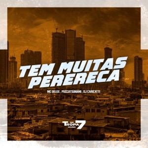 Album Tem muitas perereca (Explicit) from PUCCATSUNAMI