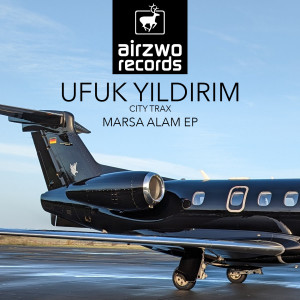 Listen to Confused Hammerhead Shark song with lyrics from Ufuk Yildirim