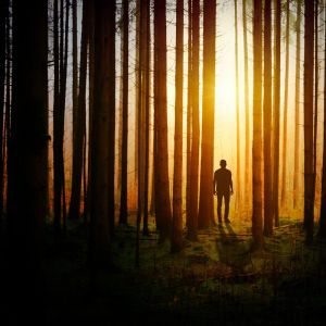 Dengarkan Inner Artist lagu dari The White Noise Zen & Meditation Sound Lab dengan lirik