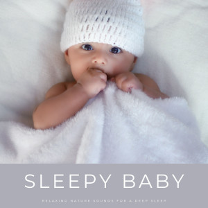 Baby Music Experience的專輯Sleepy Baby: Relaxing Nature Sounds For A Deep Sleep