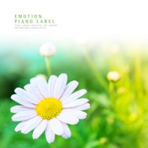 Listen to Home of the Wind song with lyrics from Kim Isu