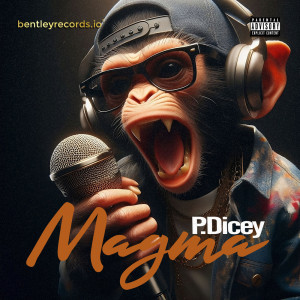 default album img