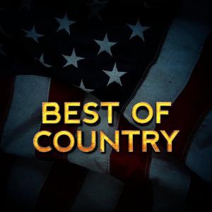ดาวน์โหลดและฟังเพลง Somethin' Bad พร้อมเนื้อเพลงจาก Country Nation