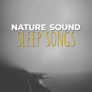 ดาวน์โหลดและฟังเพลง Serenity Stream พร้อมเนื้อเพลงจาก Sleep Songs with Nature Sounds
