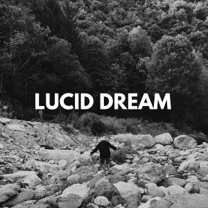 Album Lucid Dream from 
