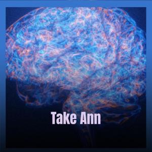 Album Take Ann from Various