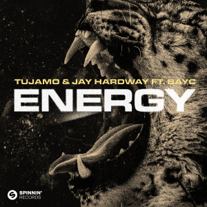 Tujamo的專輯Energy (feat. Bay-C)