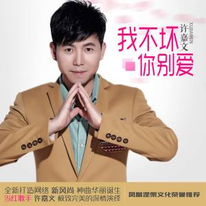 Listen to 我不坏你别爱 song with lyrics from 许嘉文