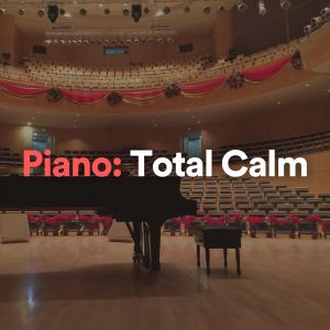 ดาวน์โหลดและฟังเพลง Piano: Total Calm, Pt. 7 พร้อมเนื้อเพลงจาก Relaxing Piano Crew