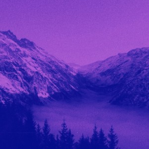 Cøzy的專輯shades of purple