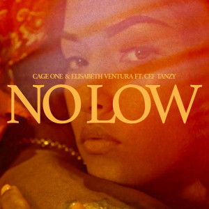 Album No Low from 