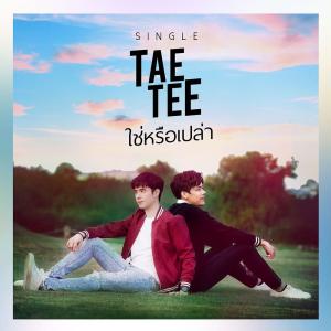 ดาวน์โหลดและฟังเพลง ใช่หรือเปล่า พร้อมเนื้อเพลงจาก เต้ ดาวิชญ์ กรีพลฤกษ์