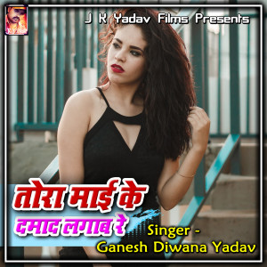 Album Tora Mai Ke Damad Lagab Re from Ganesh Diwana Yadav