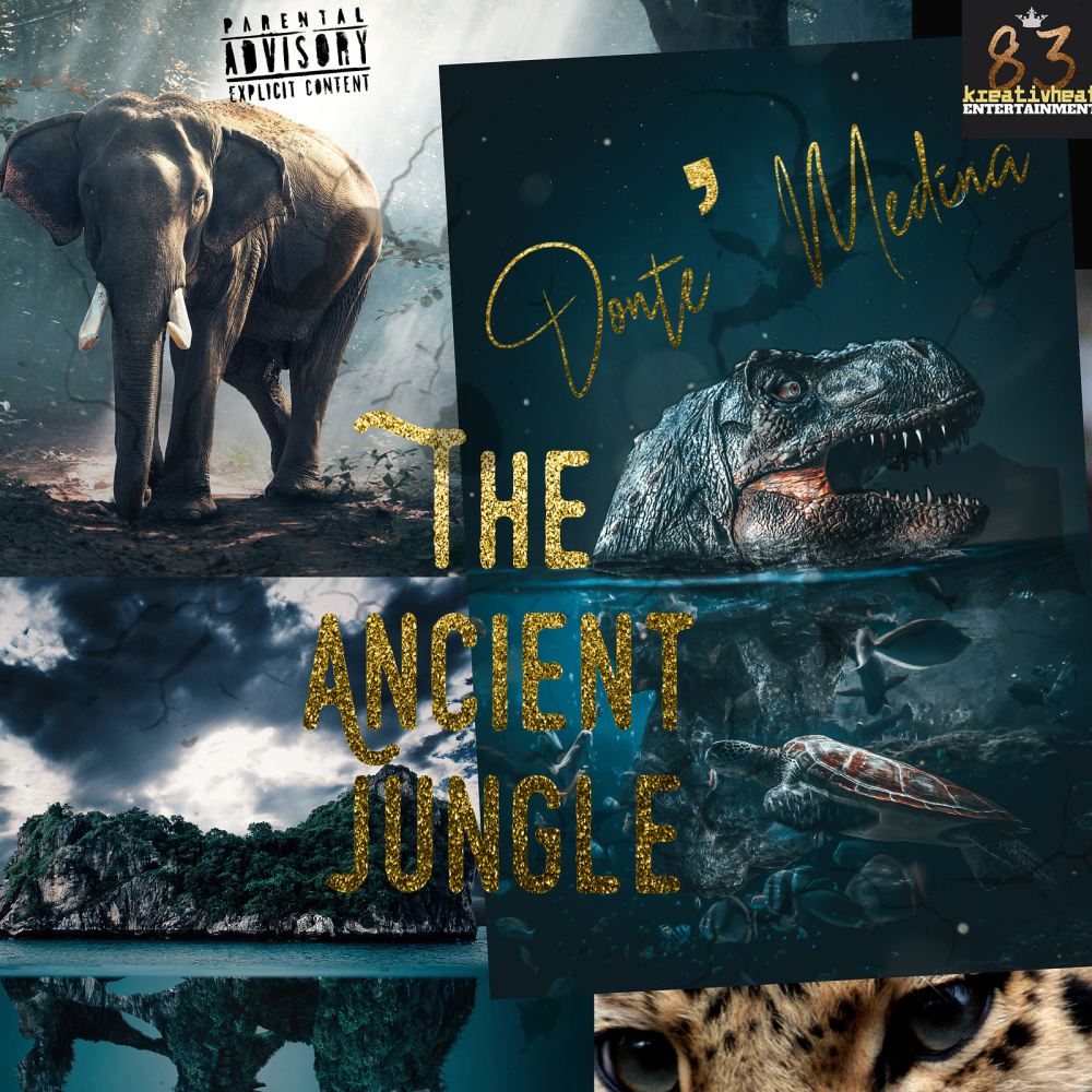 Letter to My Ex (Jungle Mix|Explicit)