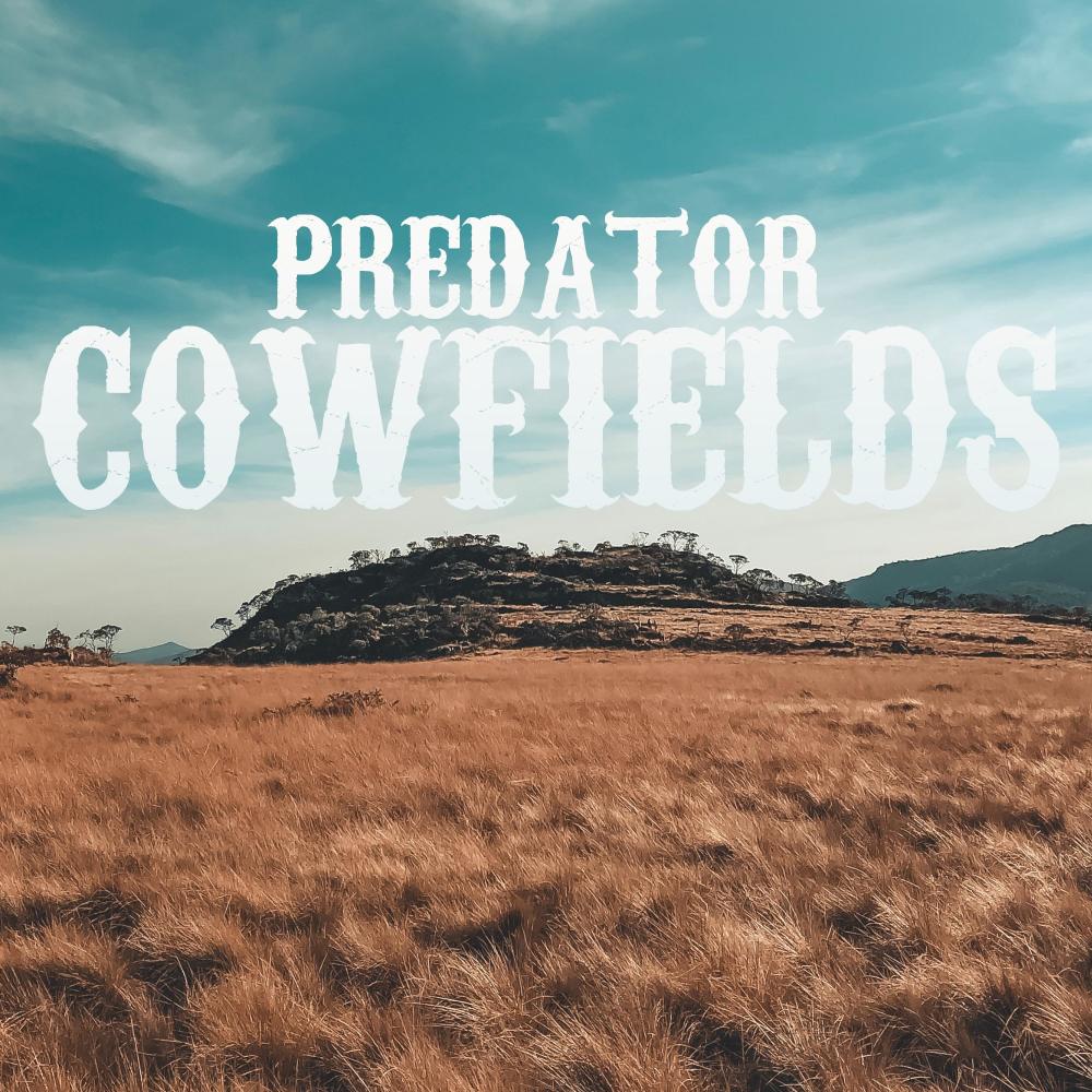 Cowfields