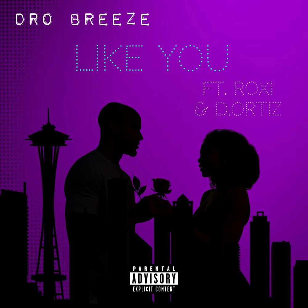 Like You (feat. D Ortiz & Roxi) (Explicit)