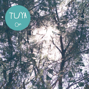 Dengarkan Blur lagu dari Tuya dengan lirik