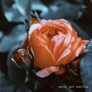 While You Waited