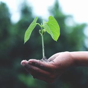 Listen to Hopes Eternal Seed song with lyrics from Jorge Paulo