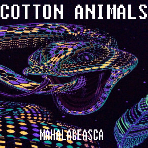 Album Mahalageasca from Cotton Animals