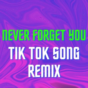 Listen to Never Forget You Tik Tok Song Remix song with lyrics from Dj Tik Tok Song