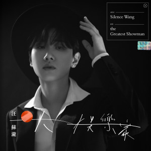 ดาวน์โหลดและฟังเพลง 末班飞行 พร้อมเนื้อเพลงจาก Silence Wang