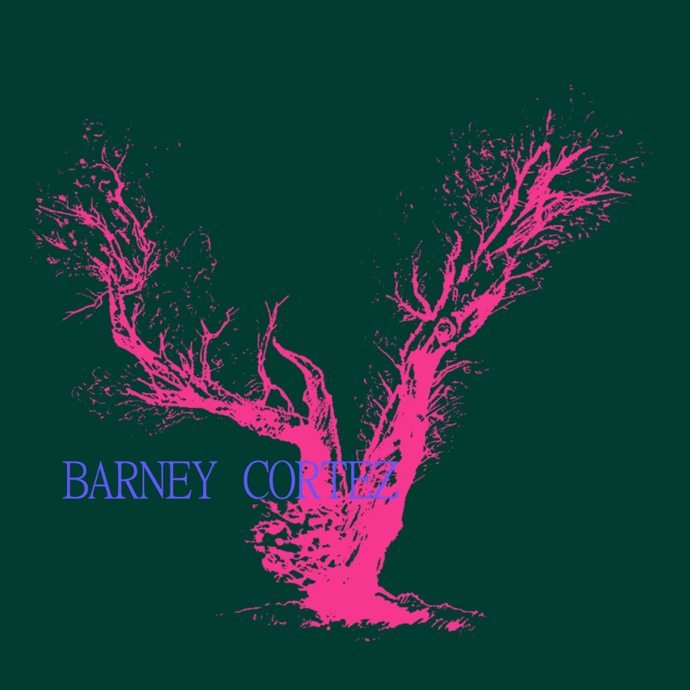 Salma (Barney Cortez Remix)