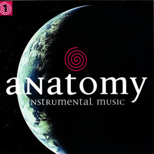 收聽D'Angelis的Anatomy歌詞歌曲