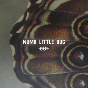 ดาวน์โหลดและฟังเพลง Numb Little Bug พร้อมเนื้อเพลงจาก Our Last Night