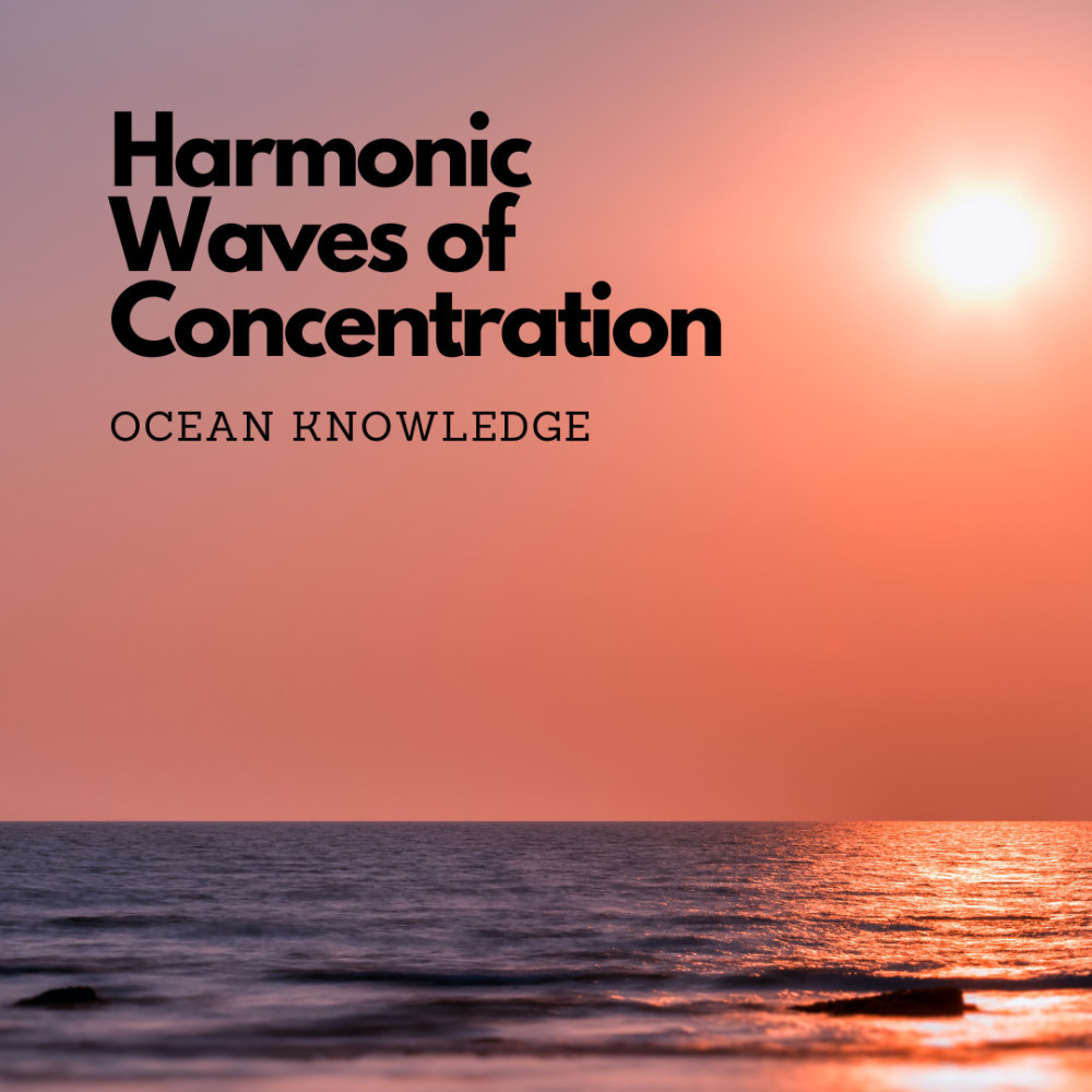 Focused Sea Waves Serenade