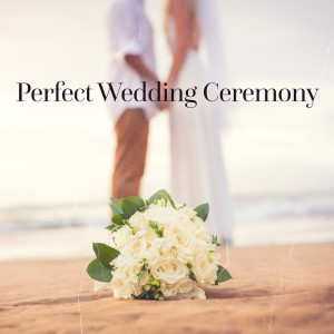 Album Perfect Wedding Ceremony Entrance (Romantic Music) from Wedding Music Zone