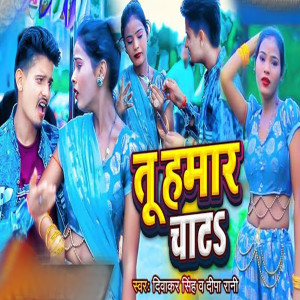 Listen to Tu Hamar Chata song with lyrics from Deewakar Singh