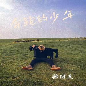 Album 奔跑的少年 from 杨丽夫Youngleaf