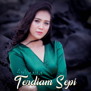 Album Terdiam Sepi oleh Suliyana