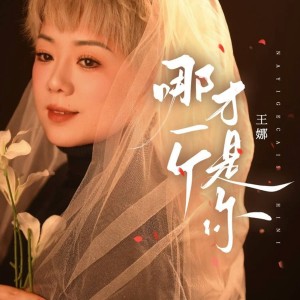 อัลบัม 哪一个才是你 ศิลปิน 陈子夜