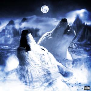 Album couple wolves (Explicit) oleh DLZ