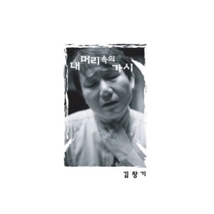 김창기的專輯내 머리 속의 가시