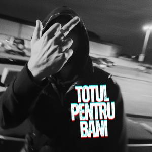 Zinc的專輯Totul Pentru Bani (Explicit)