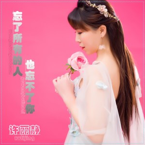 收聽許麗靜的忘了所有的人也忘不了你 (伴奏)歌詞歌曲