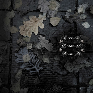 ดาวน์โหลดและฟังเพลง Deadly Sun Wretched Skies พร้อมเนื้อเพลงจาก Locus Titanic Funus