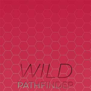 Album Wild Pathfinder oleh Various