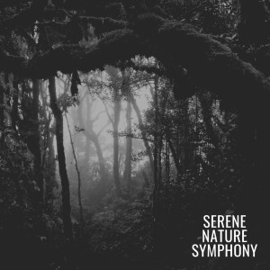Album Serene Nature Symphony from Mother Earth Sounds