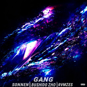 อัลบัม Gang ศิลปิน Sonnen