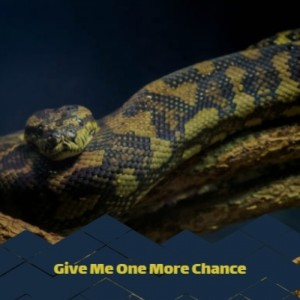 Various Artist的專輯Give Me One More Chance