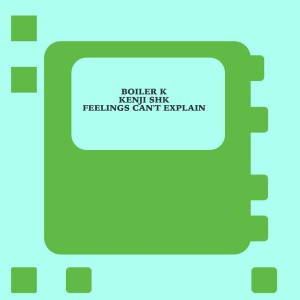 Boiler K的专辑Feelings Can't Explain