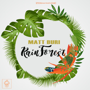 Listen to Rainforest (Original Mix) song with lyrics from Matt Buri